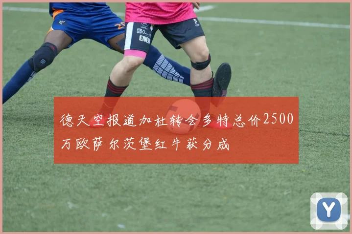 德天空报道加杜转会多特总价2500万欧萨尔茨堡红牛获分成