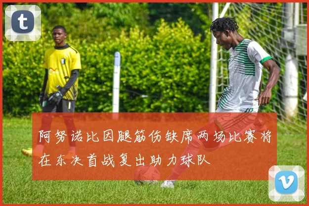 阿努诺比因腿筋伤缺席两场比赛将在东决首战复出助力球队